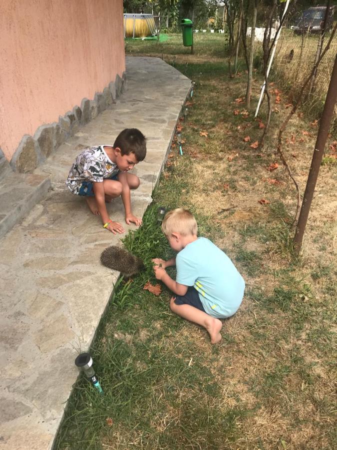 Стаи За Гости Тони Ribarica Kültér fotó